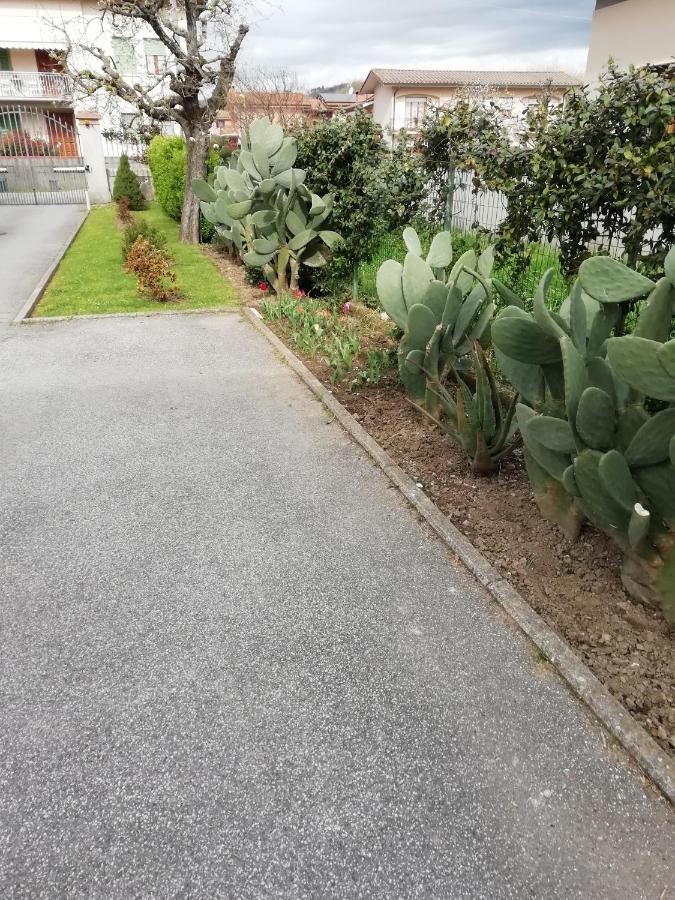 Casa Vacanze Orsi Lucca Eksteriør bilde